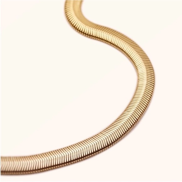 NWOT Gold Herringbone Necklace - Picture 5 of 7